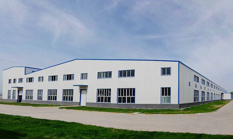 Company Profile